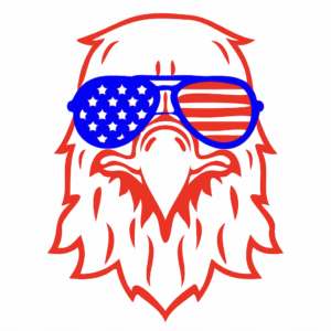211. Patriotic Bald Eagle