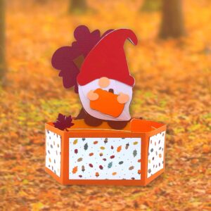 136. Fall Gnome 360 Box Card