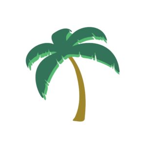 290. Palm Tree