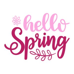 639. Hello Spring
