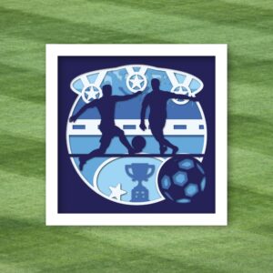 702. Soccer Shadow Box