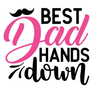692. Best Dad Hands Down