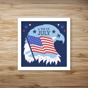 203. Bald Eagle Shadow Box