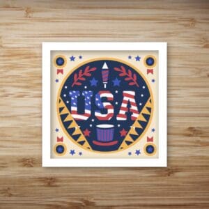 204. USA Shadow Box