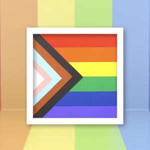 195. Pride Flag Shadow Box