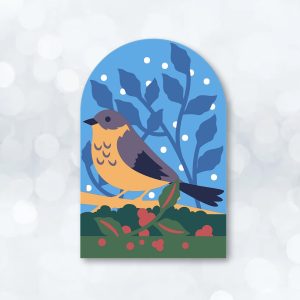 842. Winter Bird Box Card
