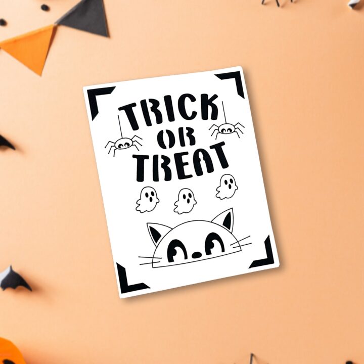Trick or Treat Insert Card