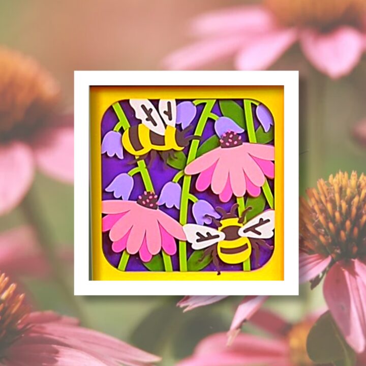 Bee and Flower Shadow Box