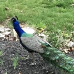 Profile photo of Linda