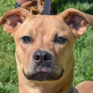 Profile photo of Sharon