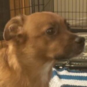 Profile photo of Colleen