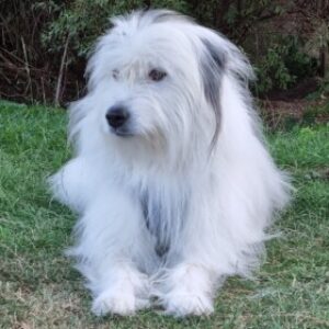 Profile photo of Astrid