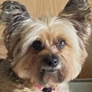Profile photo of Esther