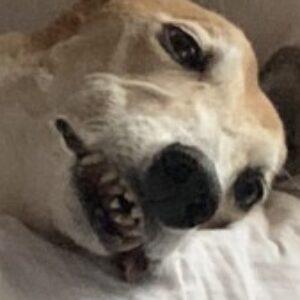 Profile photo of Amanda