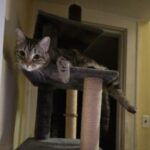 Profile photo of Mary