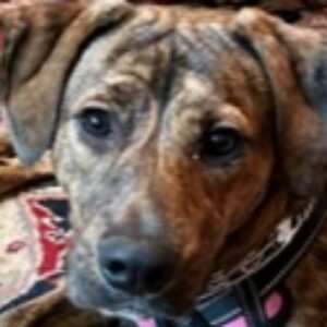 Profile photo of Diane