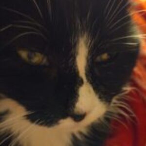 Profile photo of Robin Crider