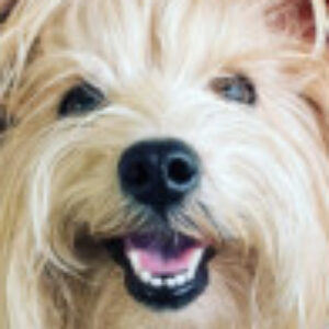 Profile photo of Angelica