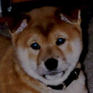Profile photo of Karla