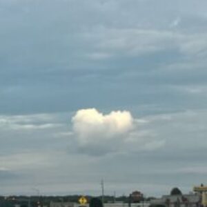 Profile photo of Audrey