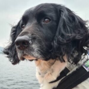Profile photo of Jo
