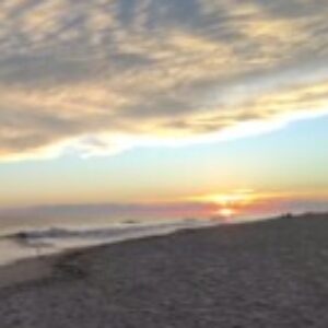 Profile photo of Dawn