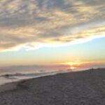 Profile photo of Dawn