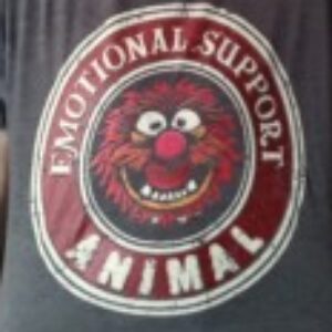 Profile photo of BriAnne